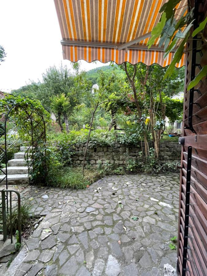 Maan Central Apartment Pet Friendly Location Brașov Exterior foto